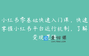小红书零基础快速入门课，快速掌握小红书平台运行机制，了解变现逻辑