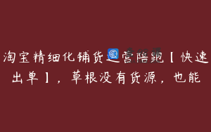 淘宝精细化铺货运营陪跑【快速出单】，草根没有货源，也能
