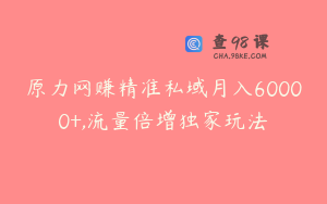 原力网赚精准私域月入60000+,流量倍增独家玩法