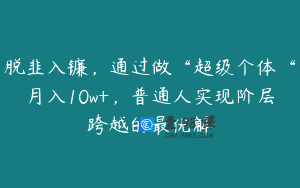 脱韭入镰,通过做“超级个体“月入10w+,普通人实现阶层跨越的最优解