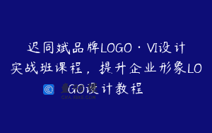 迟同斌品牌LOGO·VI设计实战班课程，提升企业形象LOGO设计教程