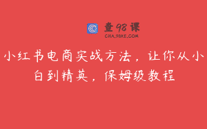 小红书电商实战方法，让你从小白到精英，保姆级教程