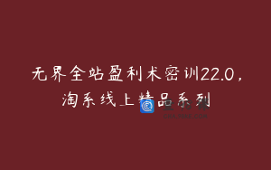 无界全站盈利术密训22.0，淘系线上精品系列