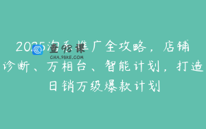 2025淘系推广全攻略，店铺诊断、万相台、智能计划，打造日销万级爆款计划
