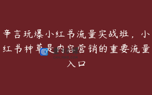辛言玩爆小红书流量实战班，小红书种草是内容营销的重要流量入口