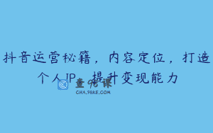 抖音运营秘籍，内容定位，打造个人IP，提升变现能力