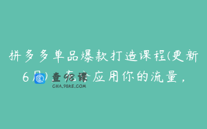 拼多多单品爆款打造课程(更新6月)，充分应用你的流量，