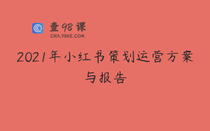 2021年小红书策划运营方案与报告
