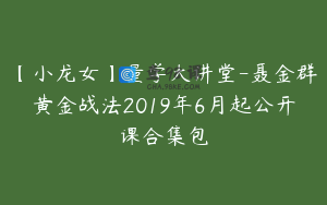 【小龙女】量学大讲堂-聂金群黄金战法2019年6月起公开课合集包