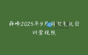 薛峰2025年9月洞彻先机密训营视频