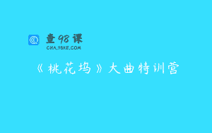 《桃花坞》大曲特训营