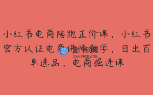 小红书电商陪跑正价课，小红书官方认证电商讲师教学，日出百单选品，电商掘进课