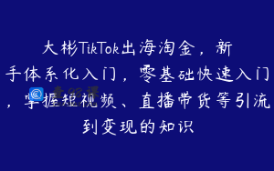 大彬TikTok出海淘金,新手体系化入门,零基础快速入门,掌握短视频、直播带货等引流到变现的知识