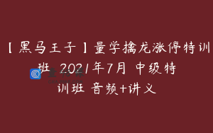 【黑马王子】量学擒龙涨停特训班  2021年7月 中级特训班 音频+讲义