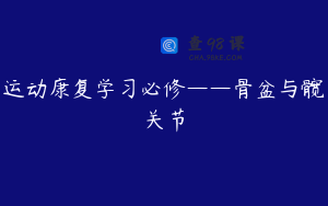 运动康复学习必修——骨盆与髋关节