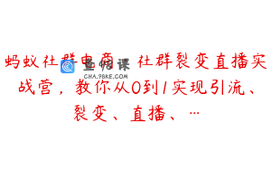蚂蚁社群电商·社群裂变直播实战营，教你从0到1实现引流、裂变、直播、…