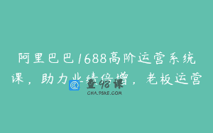 阿里巴巴1688高阶运营系统课，助力业绩倍增，老板运营
