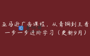 亚马逊广告课程，从青铜到王者一步一步进阶学习（更新9月）