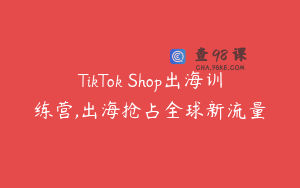 TikTok Shop出海训练营,出海抢占全球新流量