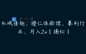 私域情趣，橙仁体验馆，暴利行业，月入2w【揭秘】