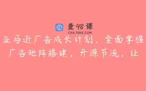 亚马逊广告成长计划，全面掌握广告矩阵搭建，开源节流，让