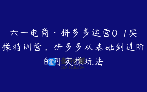 六一电商·拼多多运营0-1实操特训营，拼多多从基础到进阶的可实操玩法
