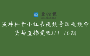 盗坤抖音小红书视频号短视频带货与直播变现(11-16期