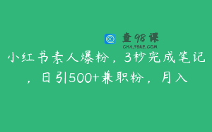 小红书素人爆粉，3秒完成笔记，日引500+兼职粉，月入