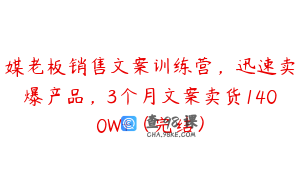 媒老板销售文案训练营，迅速卖爆产品，3个月文案卖货1400W+（完结）