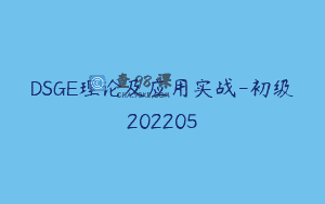 DSGE理论及应用实战-初级202205