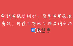 营销实操培训班:简单实用落地有效,价值百万的品牌营销底层逻辑
