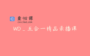 WD_五合一精品录播课