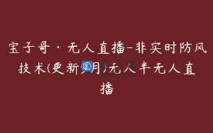 宝子哥·无人直播-非实时防风技术(更新9月)无人半无人直播