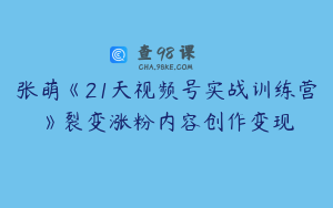 张萌《21天视频号实战训练营》裂变涨粉内容创作变现