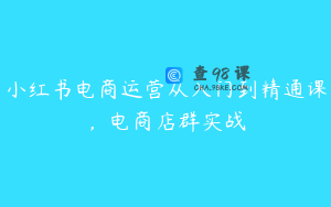 小红书电商运营从入门到精通课，电商店群实战