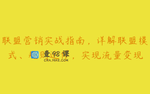联盟营销实战指南，详解联盟模式、规则运作，实现流量变现