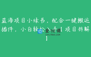 蓝海项目小绿书，配合一键搬运插件，小白轻松入手【项目拆解】