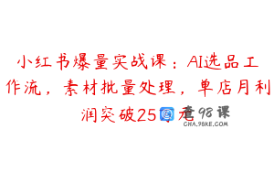 小红书爆量实战课：AI选品工作流，素材批量处理，单店月利润突破25万元