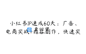 小红书IP速成60天：广告、电商实战+内容创作，快速实