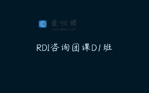 RDI咨询团课D1班