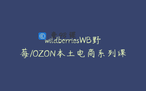 wildberriesWB野莓/OZON本土电商系列课