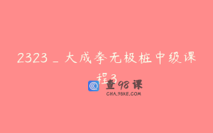 2323_大成拳无极桩中级课程3