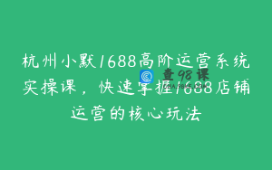 杭州小默1688高阶运营系统实操课，快速掌握1688店铺运营的核心玩法