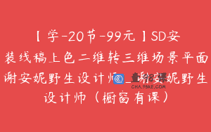 【学-20节-99元】SD安装线稿上色二维转三维场景平面谢安妮野生设计师_谢安妮野生设计师（橱窗有课）