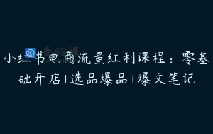 小红书电商流量红利课程：零基础开店+选品爆品+爆文笔记