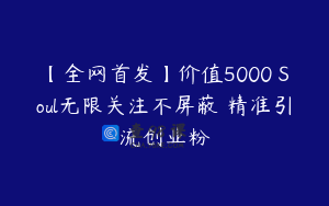 【全网首发】价值5000 Soul无限关注不屏蔽​精准引流创业粉