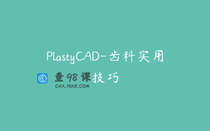 PlastyCAD-齿科实用技巧