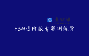 FBM进阶版专题训练营