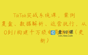 TikTok实战系统课，案例复盘、数据解析、运营执行，从0到1构建千万级电商体系（更新）