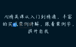 AI精英课从入门到精通，丰富的实战案例讲解，跟着案例学，提升自我